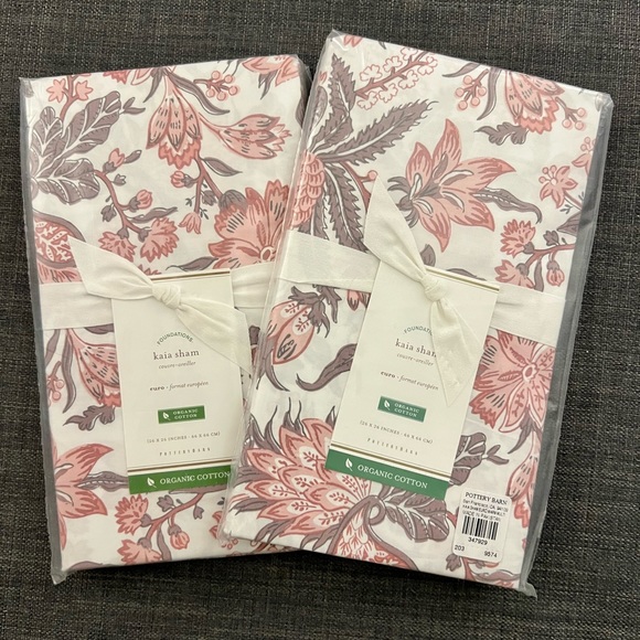 Pottery Barn Kaia Organic Cotton Euro Shams - 2